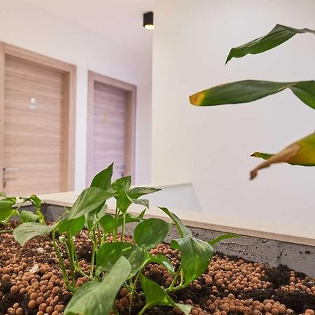 Boutique Garden Rooms Dubrovnik Eksteriør bilde